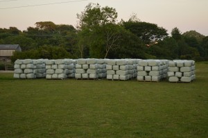 haylage bales
