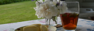 Pimms in summerhouse - Boscrowan Farm Self Catering Holiday Cottages