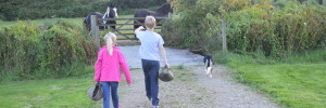 Feeding the animals at Boscrowan