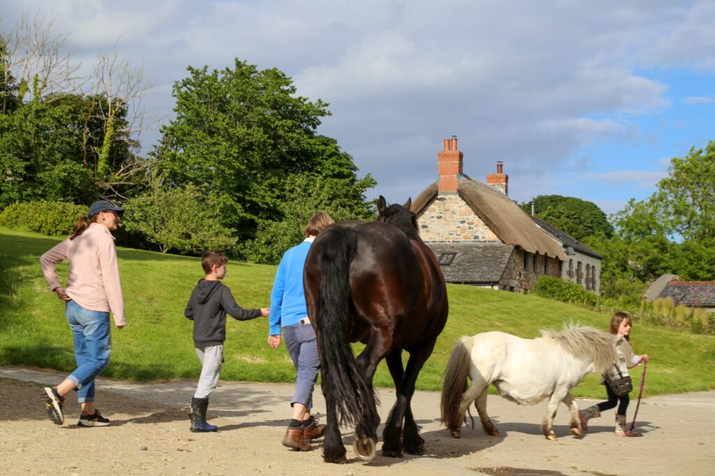 Children and horses